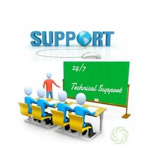 Spletna podpora
